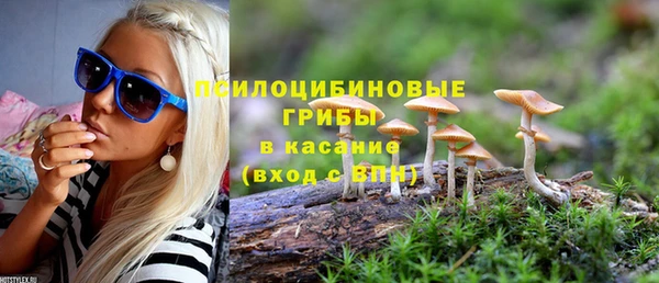дживик Краснотурьинск