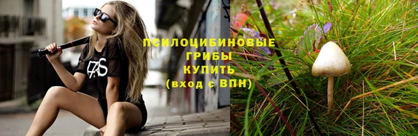 а пвп мука Краснослободск