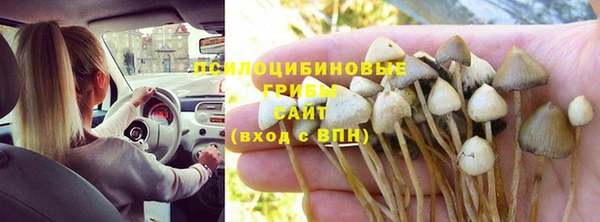 а пвп мука Краснослободск