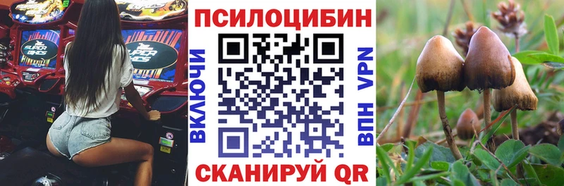 Купить закладки  Облучье  Галлюциногенные грибы мицелий 